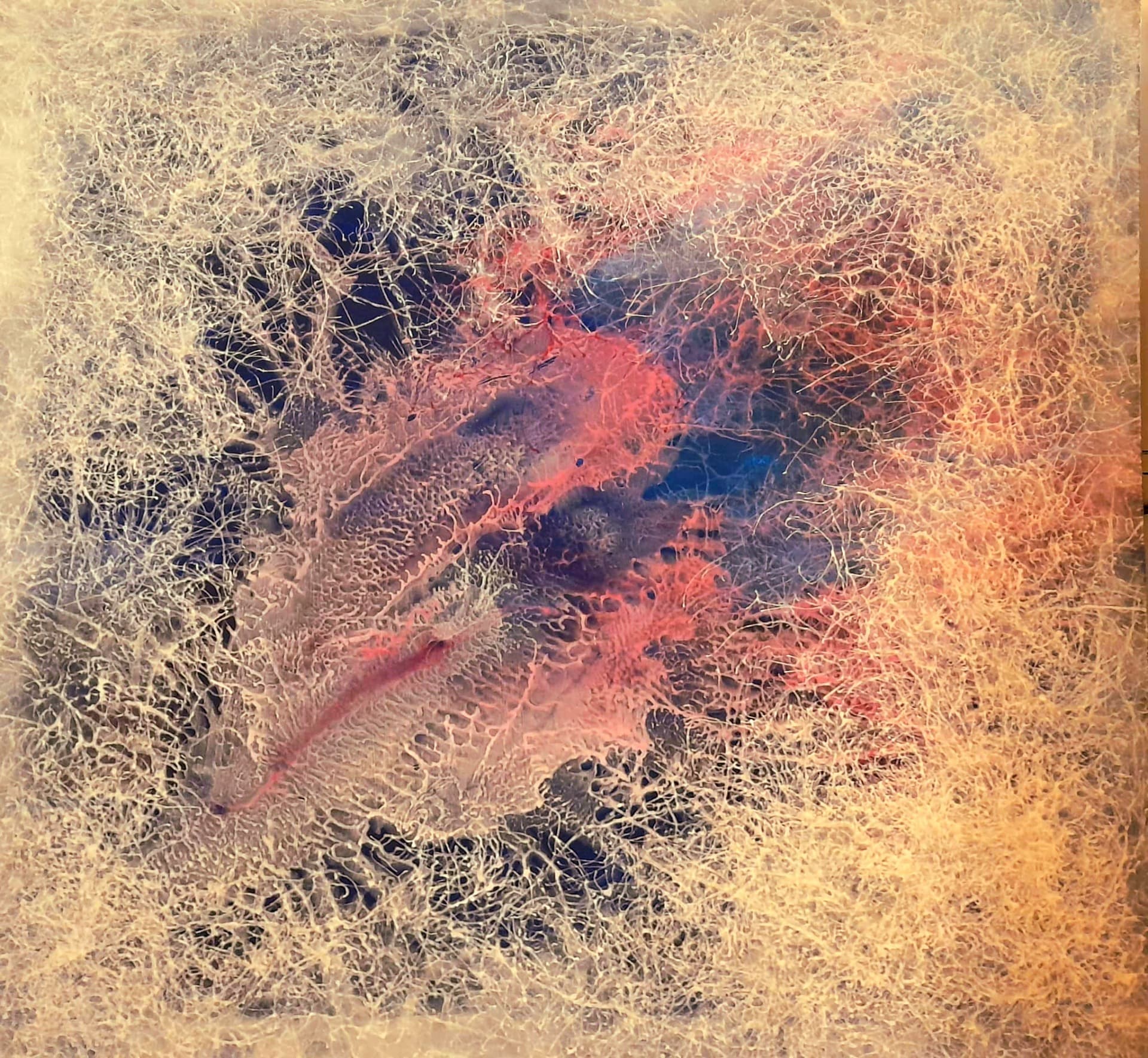 Křehkost srdce – MDF + akryl + rám, 100 × 100 cm