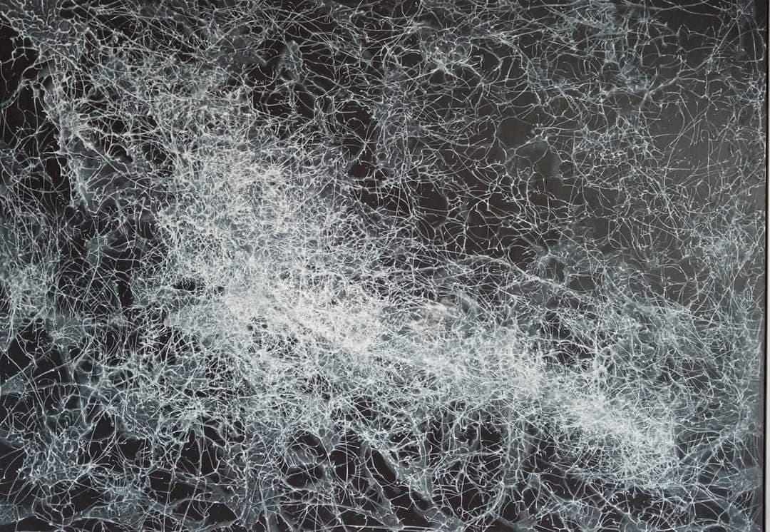 Pavučina bolesti – MDF + akryl + rám, 140 × 100 cm