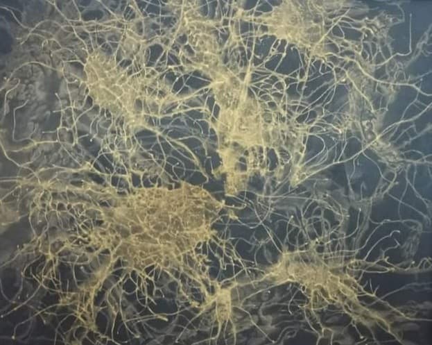 Smrtka – MDF + akryl + rám, 50 × 40 cm